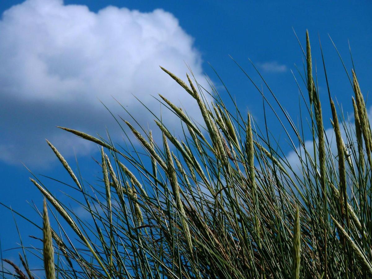 Ferienwohnung An Bord Dangast Eksteriør bilde